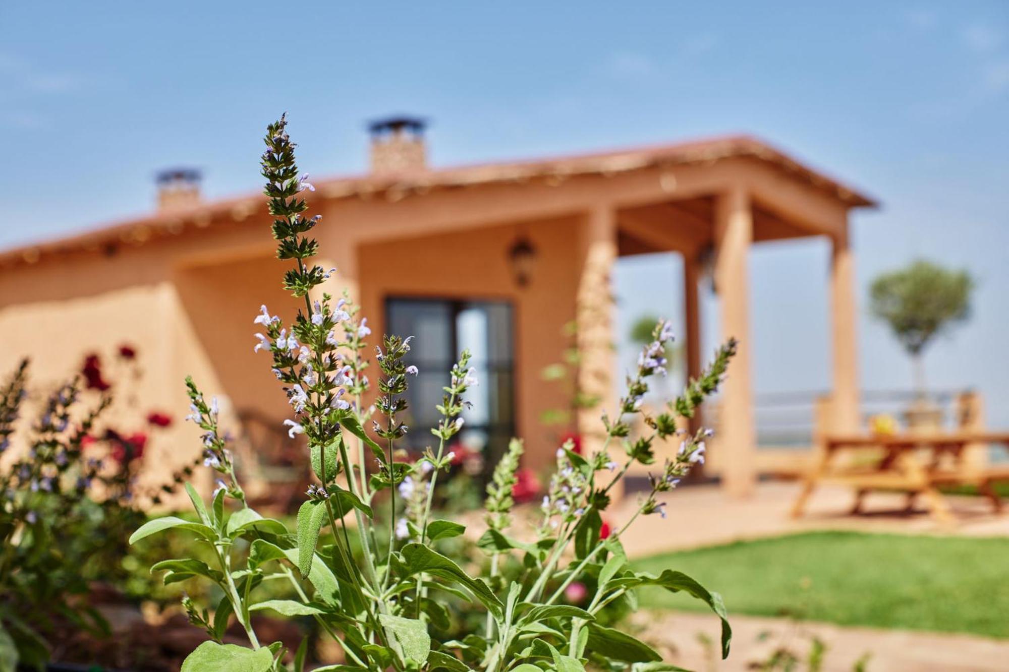 Bed and Breakfast Dar Imiri Ourika Zewnętrze zdjęcie